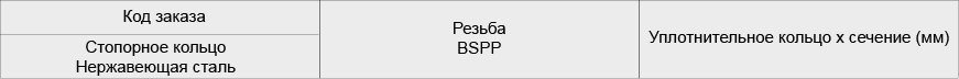 Наружная резьба BSPP – ISO 1179. Нерж. сталь
